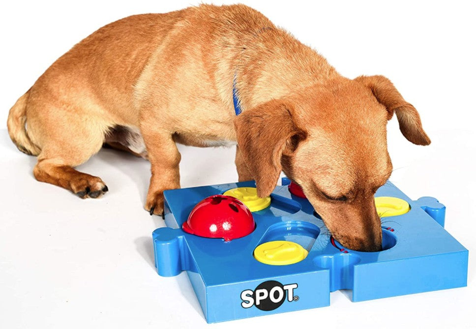 2 count Spot Seek-A-Treat Flip 'N Slide Connector Puzzle Interactive Dog Treat and Toy Puzzle