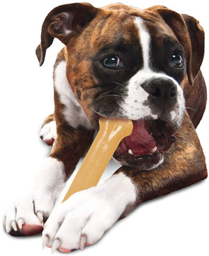 Nylabone Dura Chew Bone Original Flavor Giant - PetMountain.com