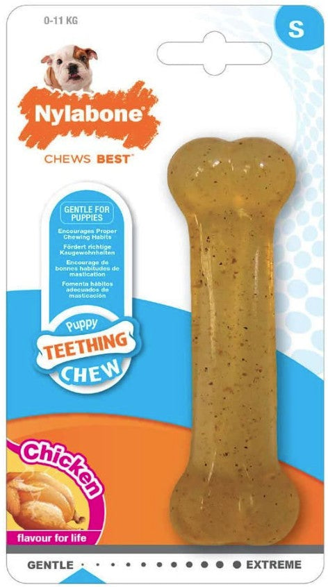 Nylabone Puppy Chew Bone Chicken Flavor - PetMountain.com