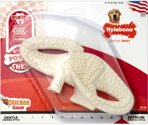 Nylabone Dinosaur Dental Dog Chew Chicken Flavor - PetMountain.com