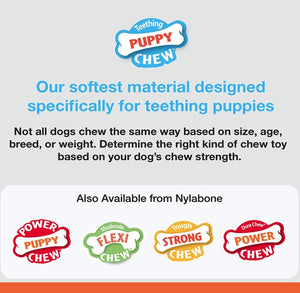Nylabone Puppy Chew Bone Chicken Flavor - PetMountain.com
