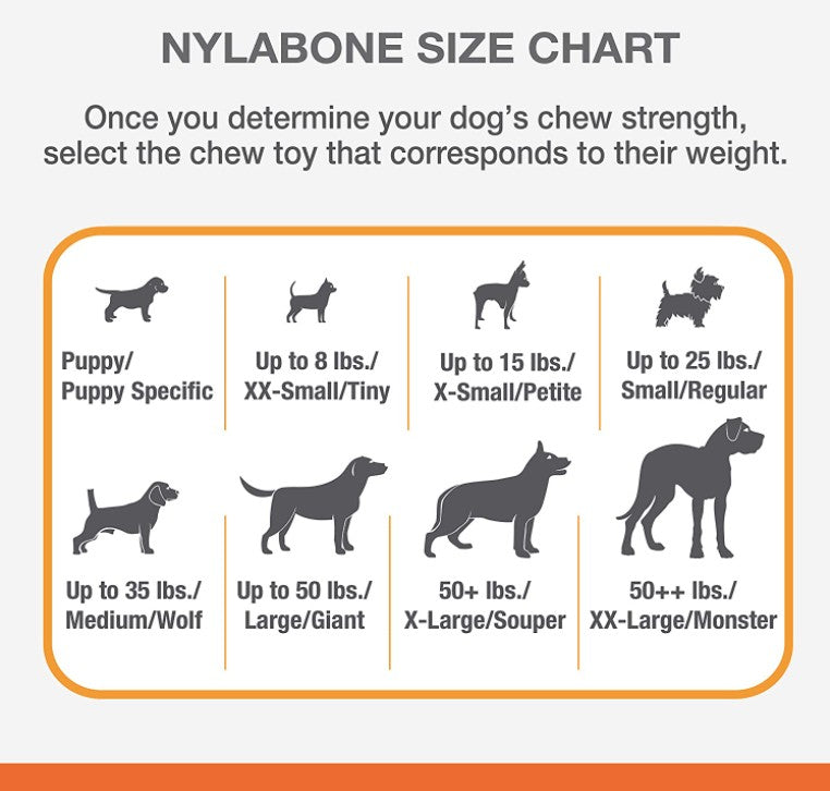 3 count Nylabone Puppy Chew Starter Kit