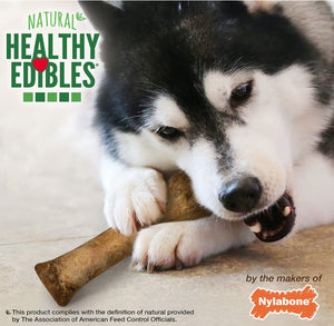 Nylabone Healthy Edibles Chews Chicken Flavor Souper - PetMountain.com