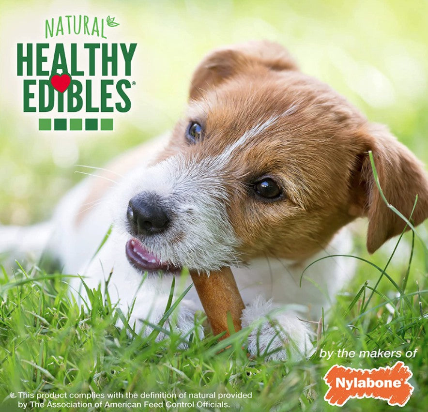 Nylabone Healthy Edibles Chews Chicken Regular - PetMountain.com