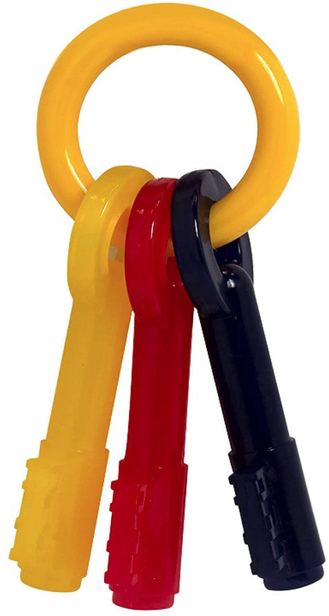 Small - 1 count Nylabone Puppy Chew Teething Keys Toy