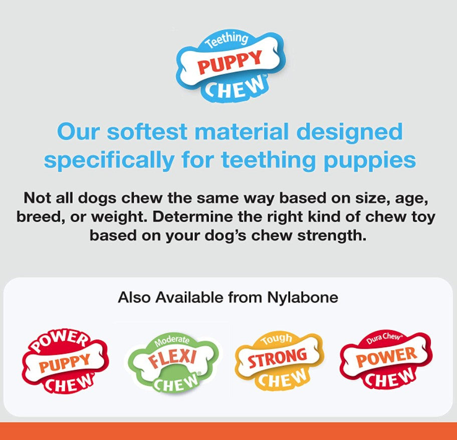 Small - 1 count Nylabone Puppy Chew Teething Keys Toy