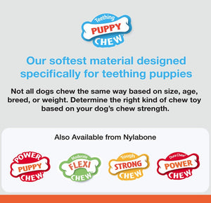 Large - 1 count Nylabone Puppy Chew Teething Keys Toy