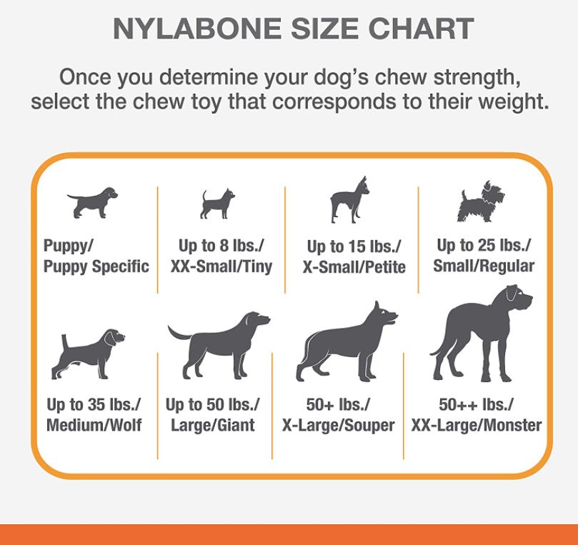 X-Small - 1 count Nylabone Puppy Chew Teething Keys Toy