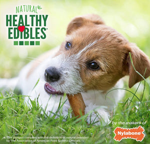 Nylabone Natural Healthy Edibles Chew Dog Treats Roast Beef Regular - PetMountain.com