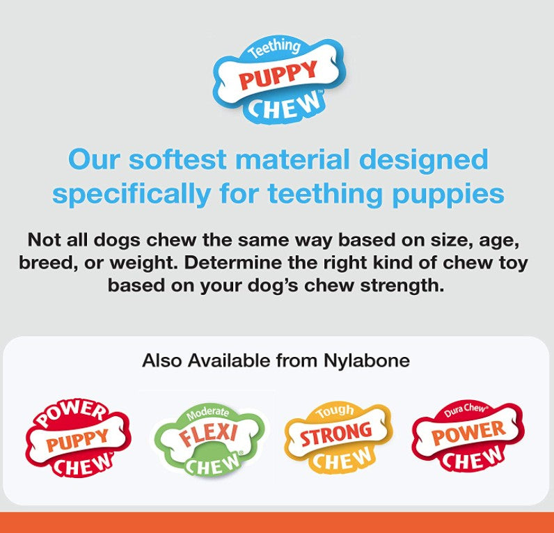 1 count Nylabone Puppy Chew Teething Pacifier