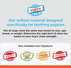 1 count Nylabone Puppy Chew Teething Pacifier