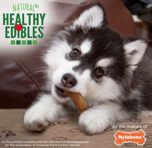 Nylabone Puppy Healthy Edibles Natural Long Lasting Lamb and Apple Dog Chew and Treat - PetMountain.com