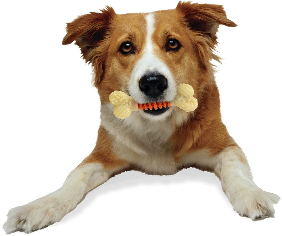 Medium - 6 count Nylabone Dental Chew Pro Action Dental Dog Chew Bacon Flavor