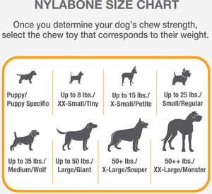 Nylabone Puppy Teether Chew Toy Small Vanilla Flavor - PetMountain.com