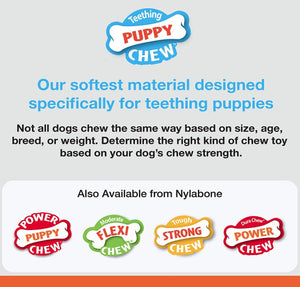 Nylabone Puppy Chew Ring Bone Chicken Flavor Petite - PetMountain.com
