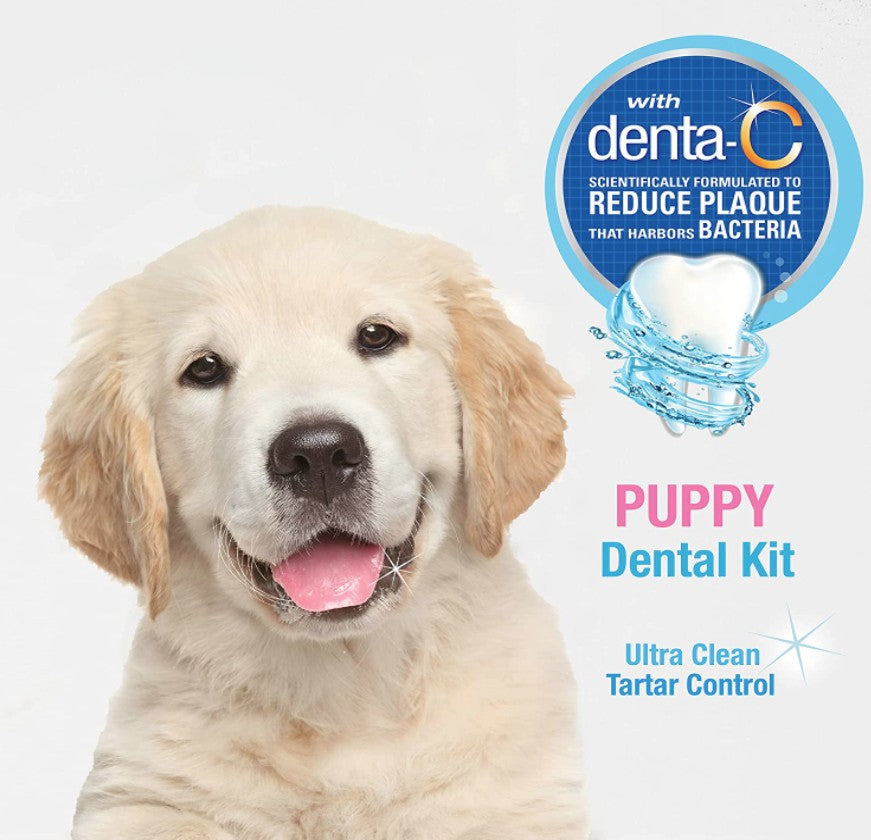Nylabone Advanced Oral Care Puppy Dental Kit - PetMountain.com