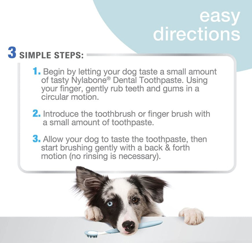 2.5 oz Nylabone Advanced Oral Care Adult Dental Kit