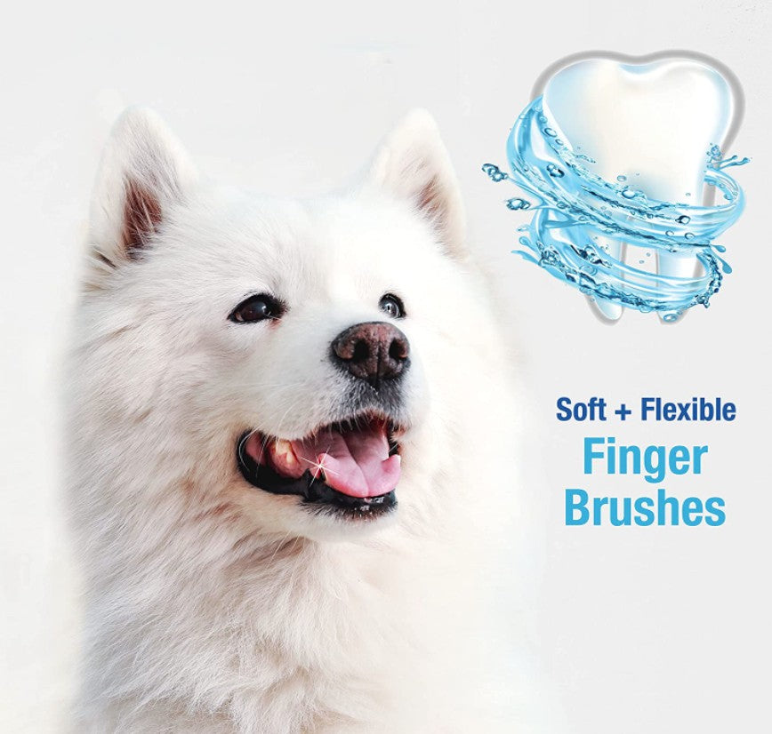 2 count Nylabone Advanced Oral Care Finger Brush