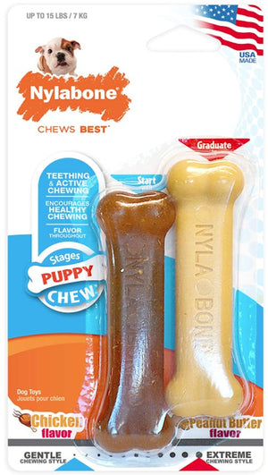 Nylabone Puppy Chew Twin Pack Petite - PetMountain.com