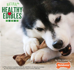 5 count Nylabone Healthy Edibles Wild Chew with Real Venison Large