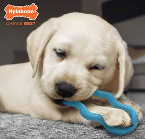 Nylabone Puppy Teeth 'n' Tug Chew Toy - PetMountain.com