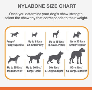 Nylabone Dura Chew Power Chew Cheese Bone Dog Toy Wolf - PetMountain.com