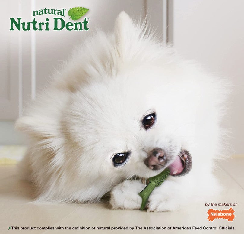 32 count Nylabone Natural Nutri Dent Fresh Breath Limited Ingredients Mini Dog Chews