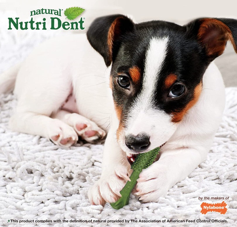 84 count (3 x 28 ct) Nylabone Natural Nutri Dent Fresh Breath Limited Ingredients Small Dental Dog Chews