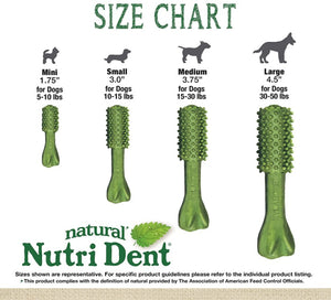 Nylabone Natural Nutri Dent Fresh Breath Limited Ingredients Medium Dog Chews - PetMountain.com