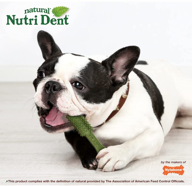 40 count Nylabone Natural Nutri Dent Fresh Breath Limited Ingredients Medium Dog Chews
