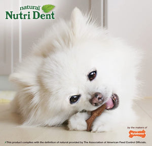 234 count (3 x 78 ct) Nylabone Natural Nutri Dent Filet Mignon Limited Ingredients Mini Dog Chews