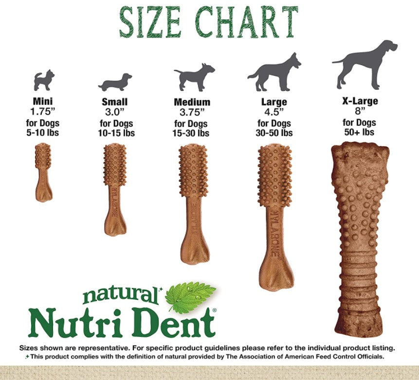 Nylabone Natural Nutri Dent Filet Mignon Limited Ingredients Large Dog Chews - PetMountain.com