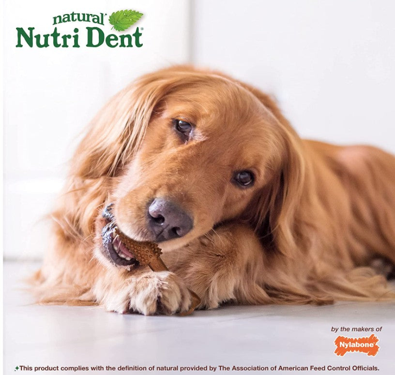 20 count Nylabone Natural Nutri Dent Filet Mignon Limited Ingredients Large Dog Chews