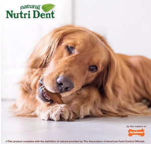 40 count (2 x 20 ct) Nylabone Natural Nutri Dent Filet Mignon Limited Ingredients Large Dog Chews