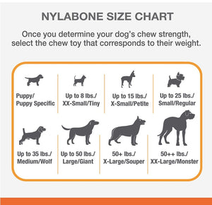 Regular - 6 count Nylabone Power Chew Wishbone Dog Chew Toy Bison Flavor