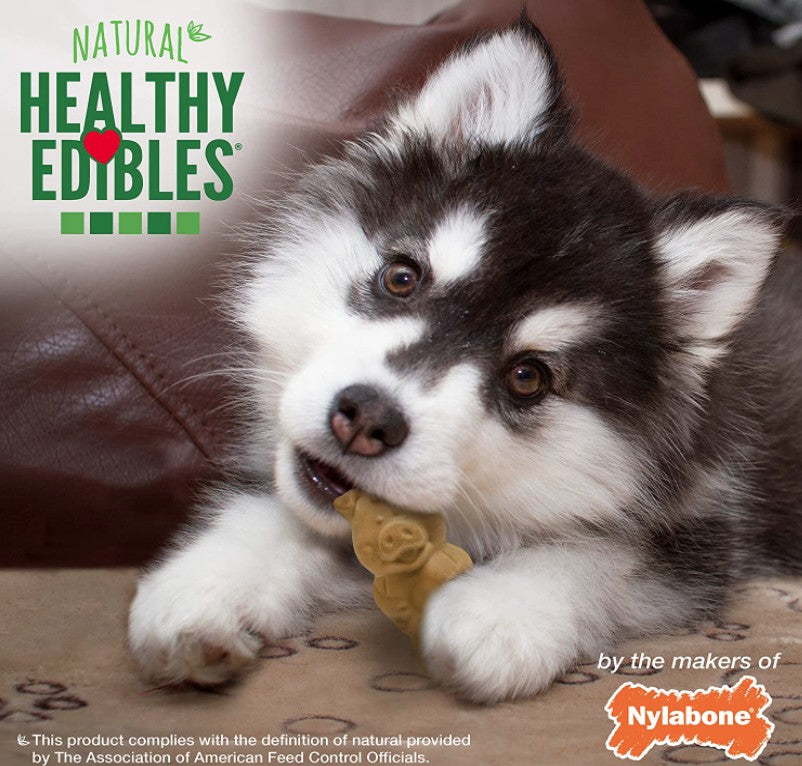 4 count Nylabone Healthy Edibles Natural Puppy Chew Treats Lamb and Apple Flavor