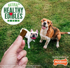 6 oz Nylabone Natural Healthy Edibles Beef and Cheese Chewy Bites Dog Treats