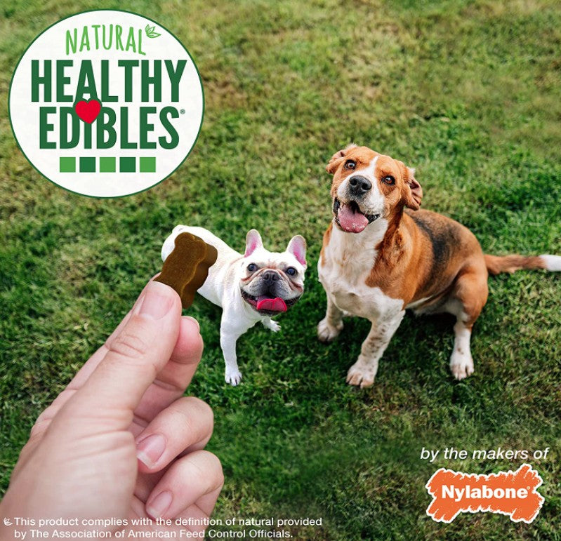 36 oz (6 x 6 oz) Nylabone Natural Healthy Edibles Beef and Cheese Chewy Bites Dog Treats