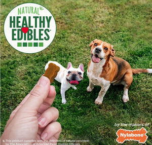 6 oz Nylabone Natural Healthy Edibles Bacon Chewy Bites Dog Treats