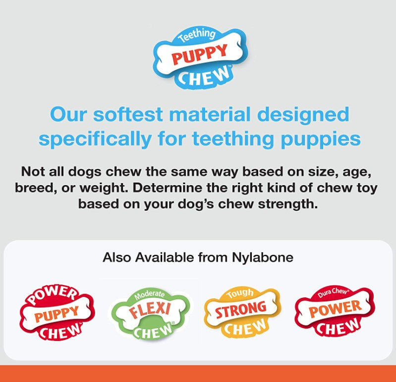 Nylabone Puppy Chew Peanut Butter Chill N Chew Bone Regular - PetMountain.com