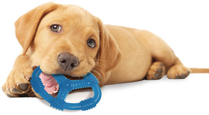 1 count Nylabone Puppy Chew Ring Peanut Butter Toy Wolf
