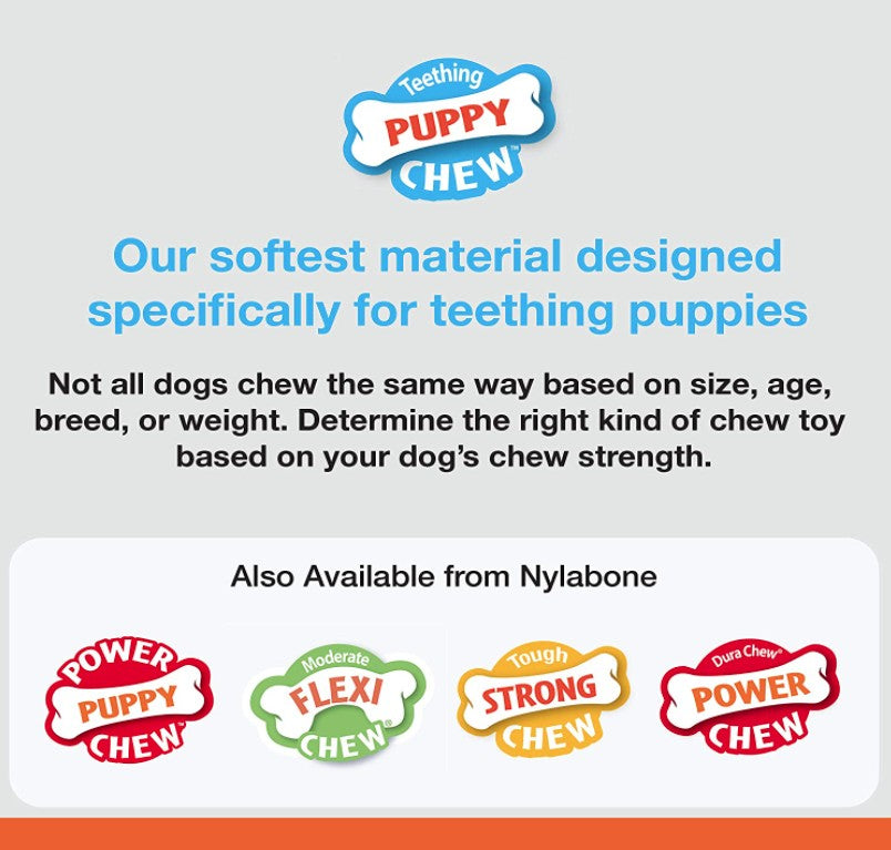 3 count Nylabone Puppy Chew Color Changing Chill N Chew Bone Mini Souper