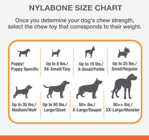 Nylabone Puppy Chew Color Changing Chill N Chew Bone Mini Souper - PetMountain.com