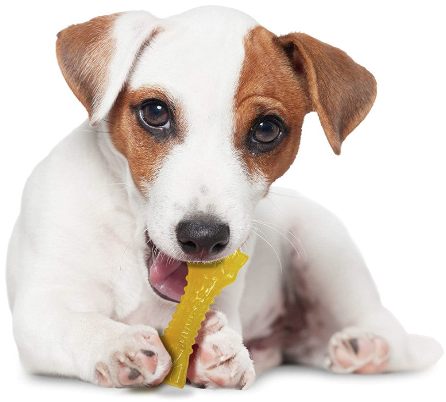 Nylabone Puppy Chew Color Changing Chill N Chew Bone Mini Souper - PetMountain.com