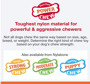 1 count Nylabone Power Chew Shish Kabob Mess Free Nylon Chew Toy Chicken Jerky Flavor Regular