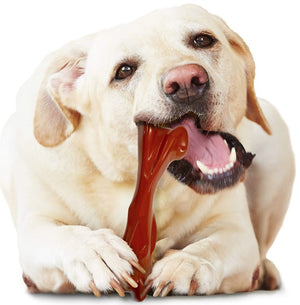 Nylabone Power Chew Bison Bone Alternative Dog Chew Toy Beef Flavor - PetMountain.com