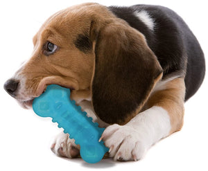 Nylabone Flexi Chew Chill and Chew Dog Toy Wolf - PetMountain.com