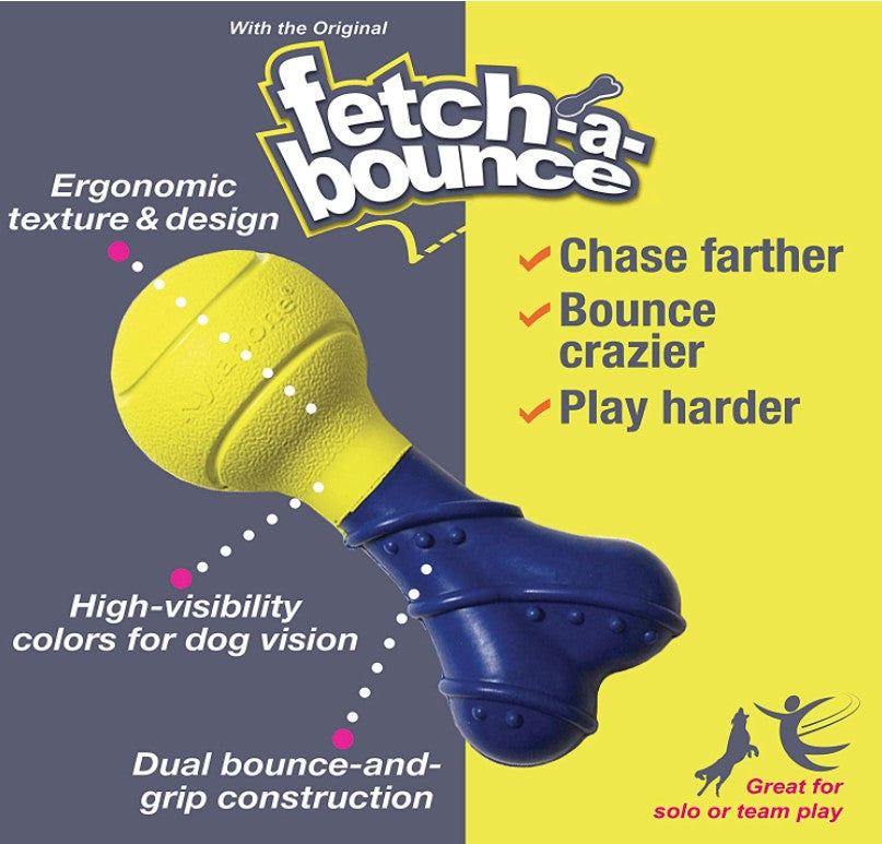 4 count Nylabone Power Play Fetch-a-Bounce Rubber Dog Toy