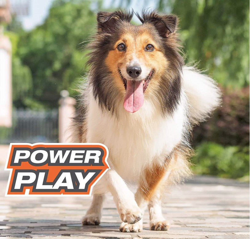 Nylabone Power Play Crazy Ball Dog Toy Large - PetMountain.com