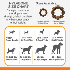 6 count Nylabone Dura Chew Textured Ring Flavor Medley Small